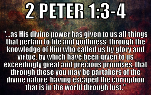 39 | BEEN GIVEN EVERYTHING FOR LIFE AND GODLINESS - 2 Peter 1v3-4